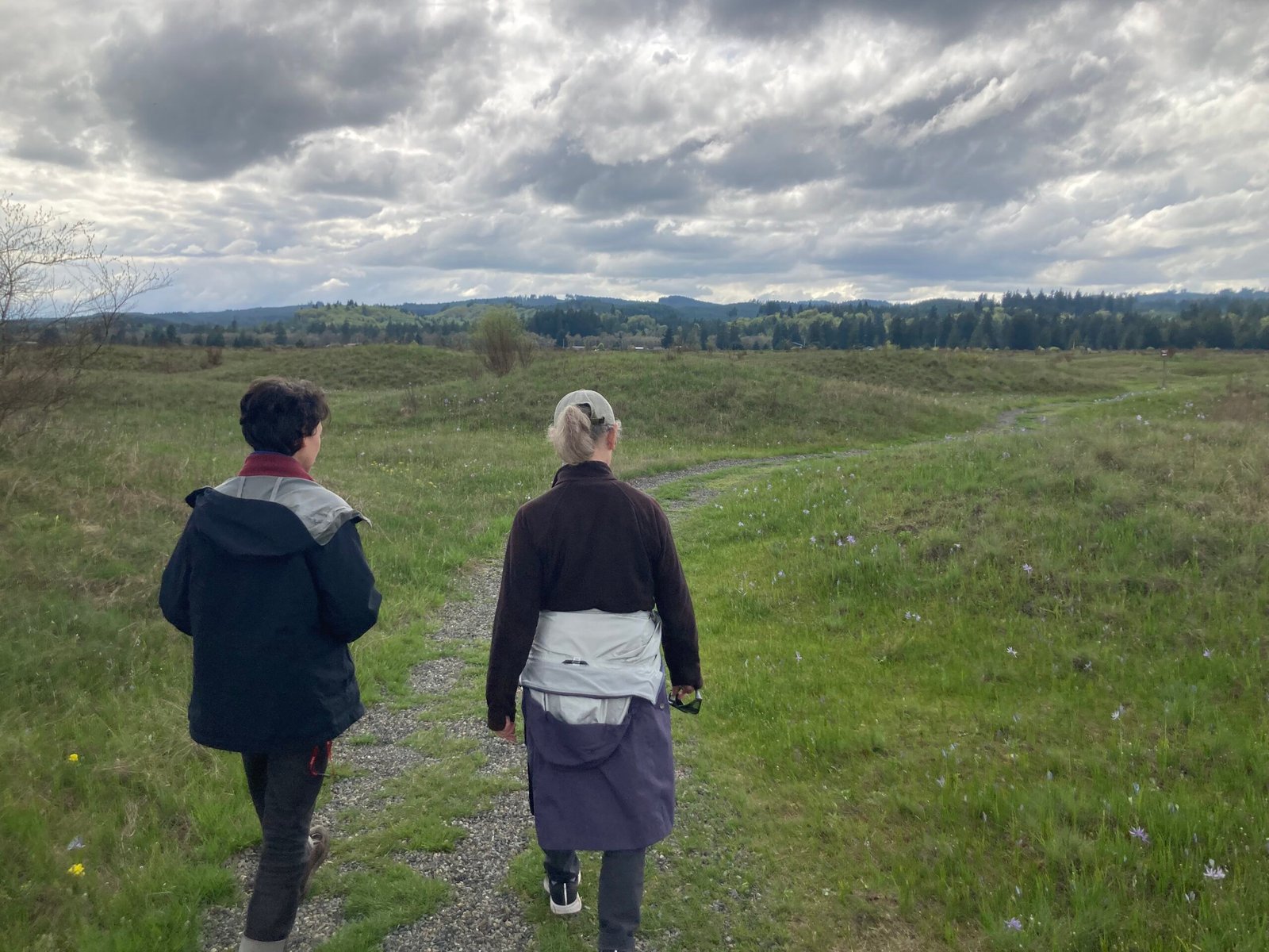 Where Can You Find the Mima Mounds? (image credits: wikimedia)