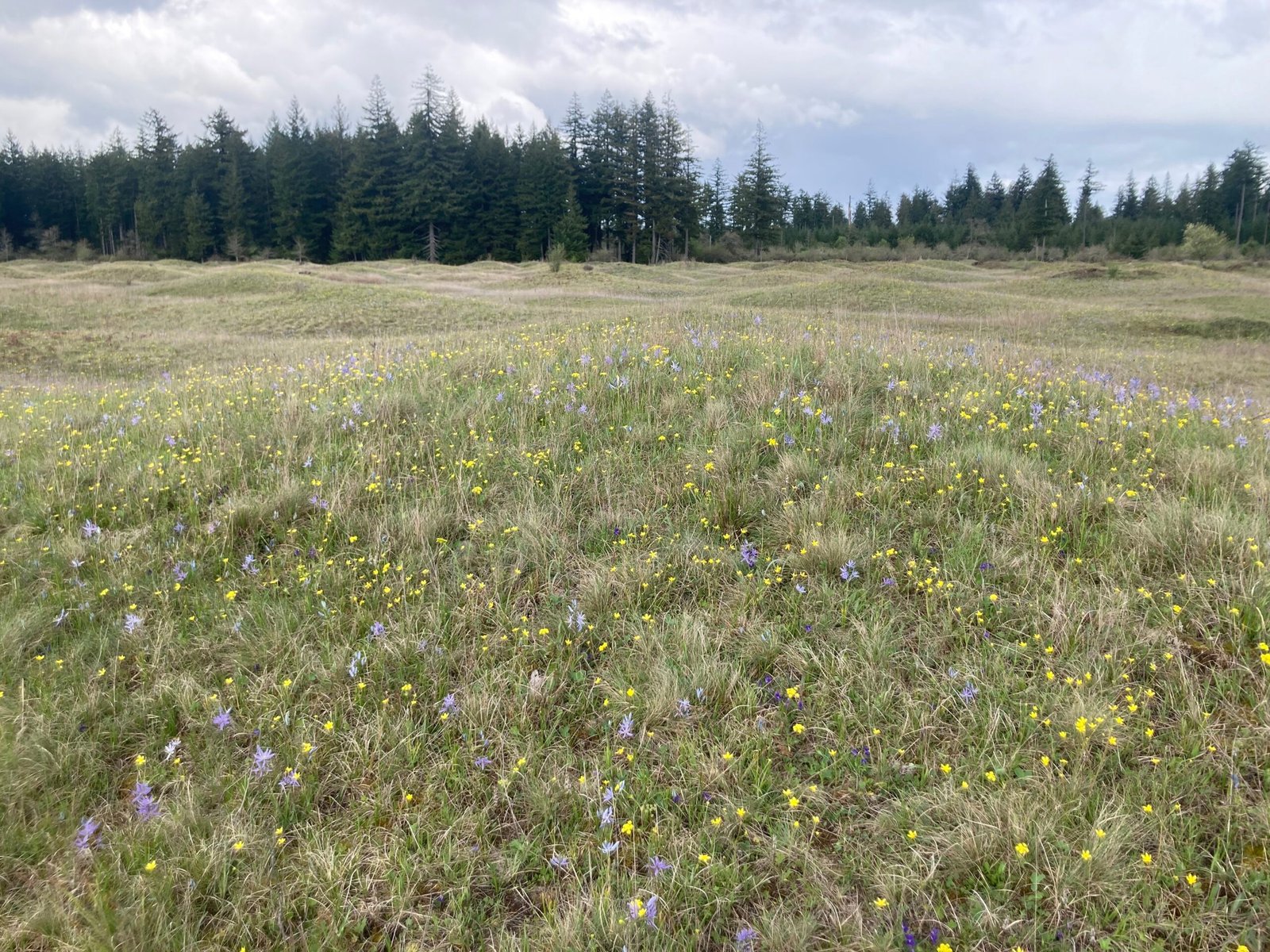 Natural Explanations: Geology’s Role in the Mystery (image credits: wikimedia)