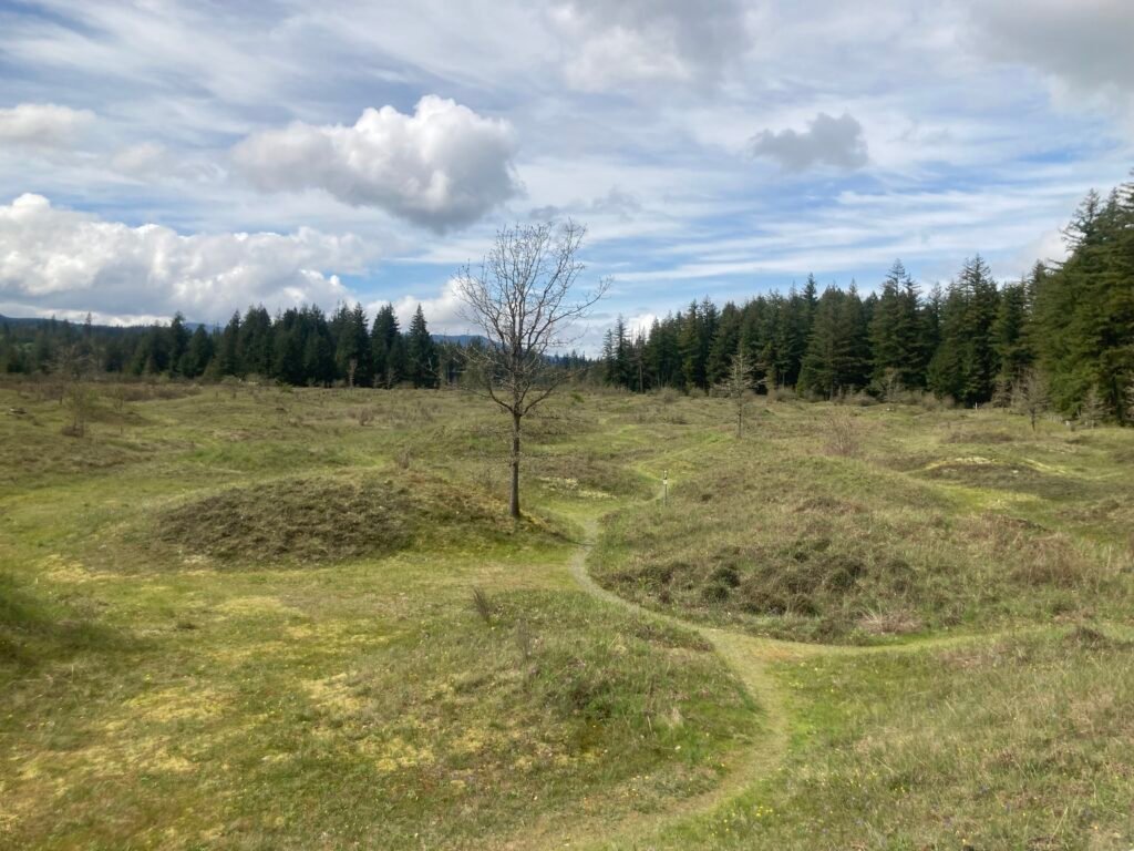 The Mima Mounds: Are These Natural Hills or Ancient Burial Sites?