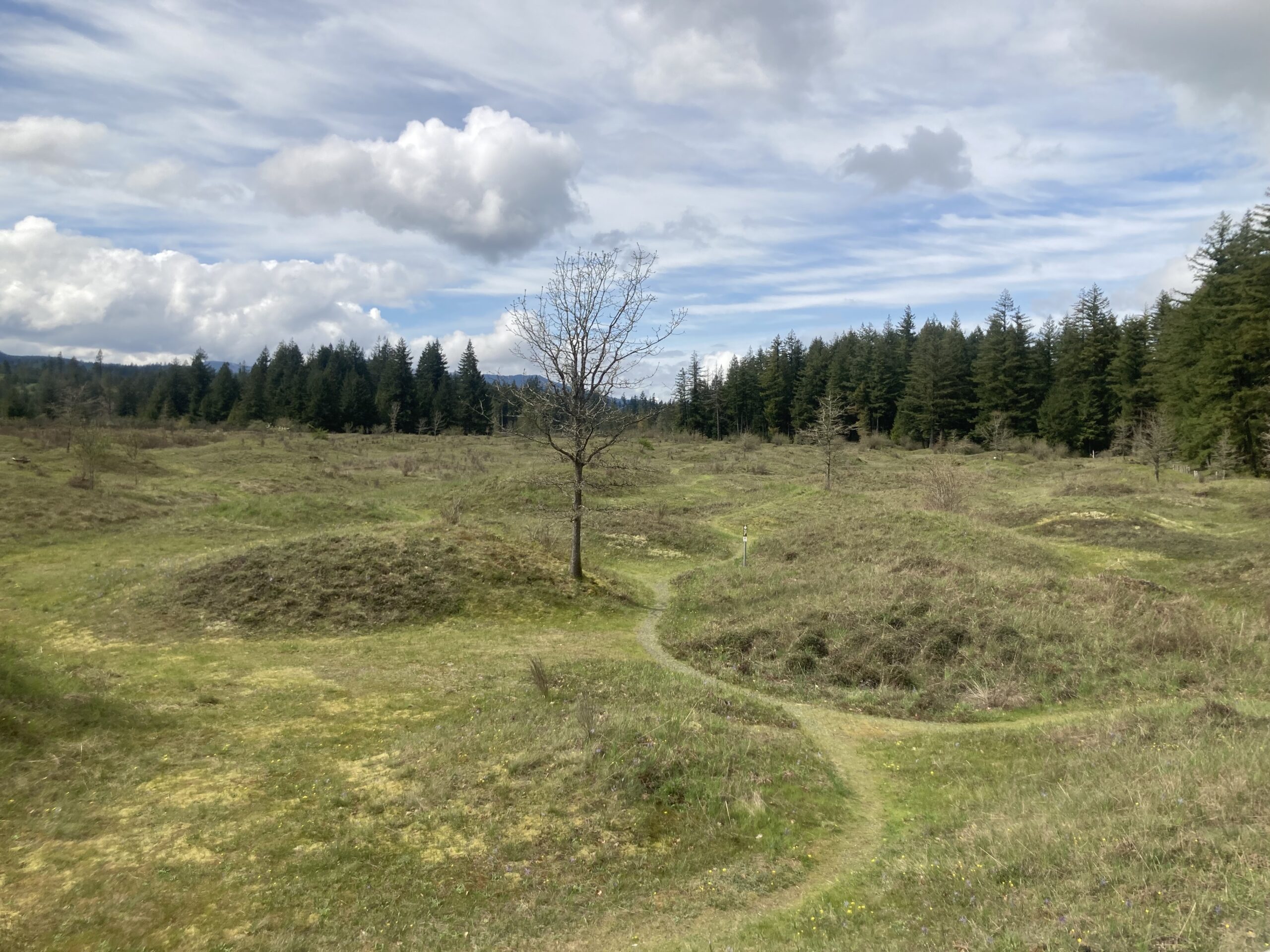 The Mima Mounds: Are These Natural Hills or Ancient Burial Sites?