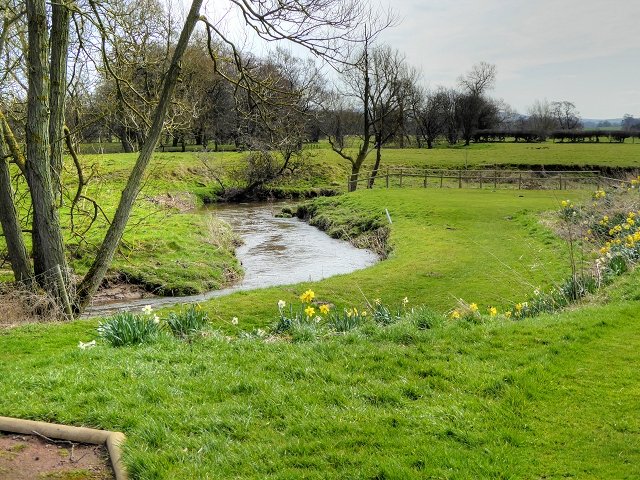 A River’s Restless Nature (image credits: wikimedia)