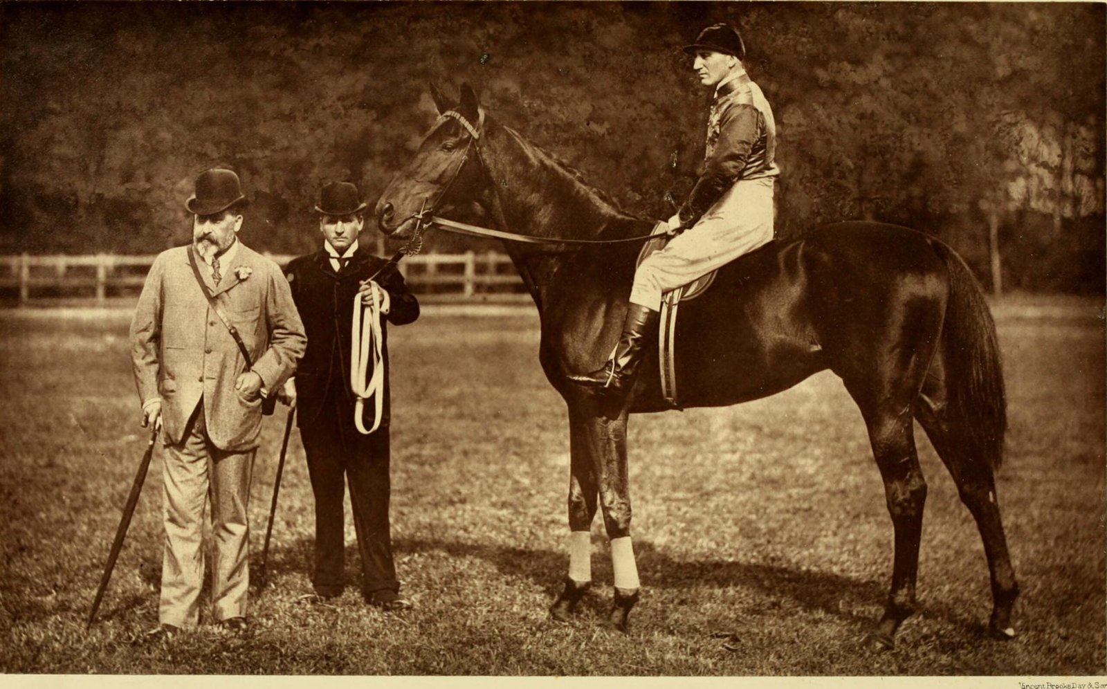 The Human Element: Breeders, Trainers, and Dreamers (image credits: wikimedia)