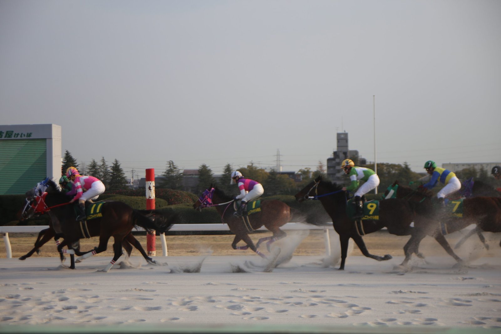 Emerging Technologies in Horse Racing (image credits: wikimedia)