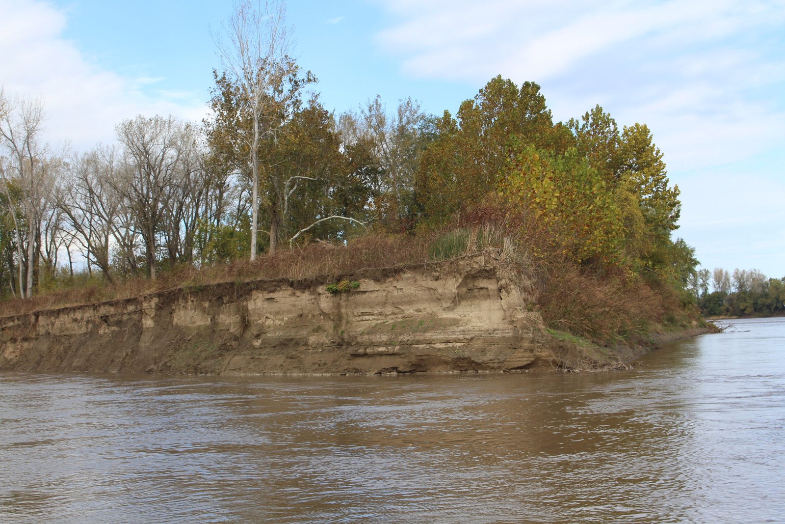 Geological Clues Hidden in the Sediments (image credits: wikimedia)