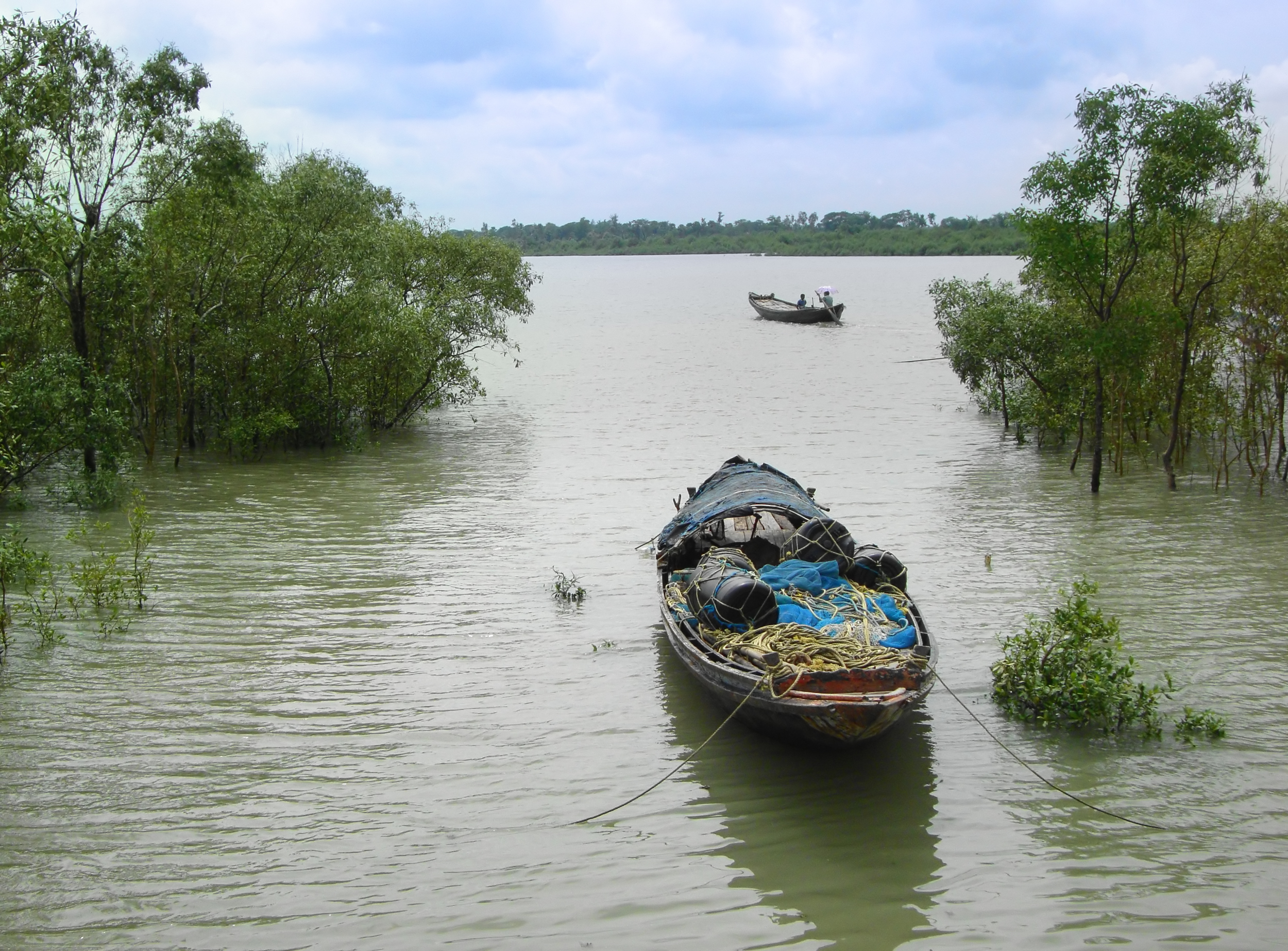 The Sundarbans: Navigating Conservation and Community Livelihoods