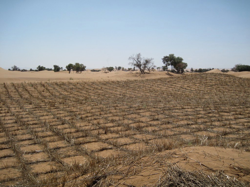 desertification