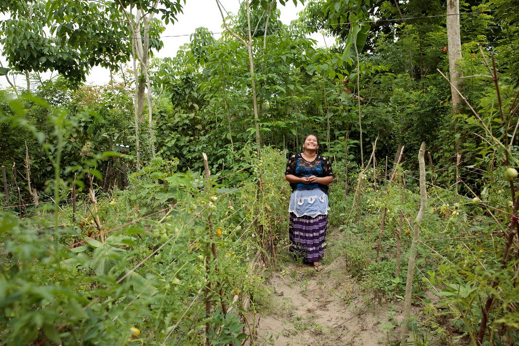 Haudenosaunee Garden