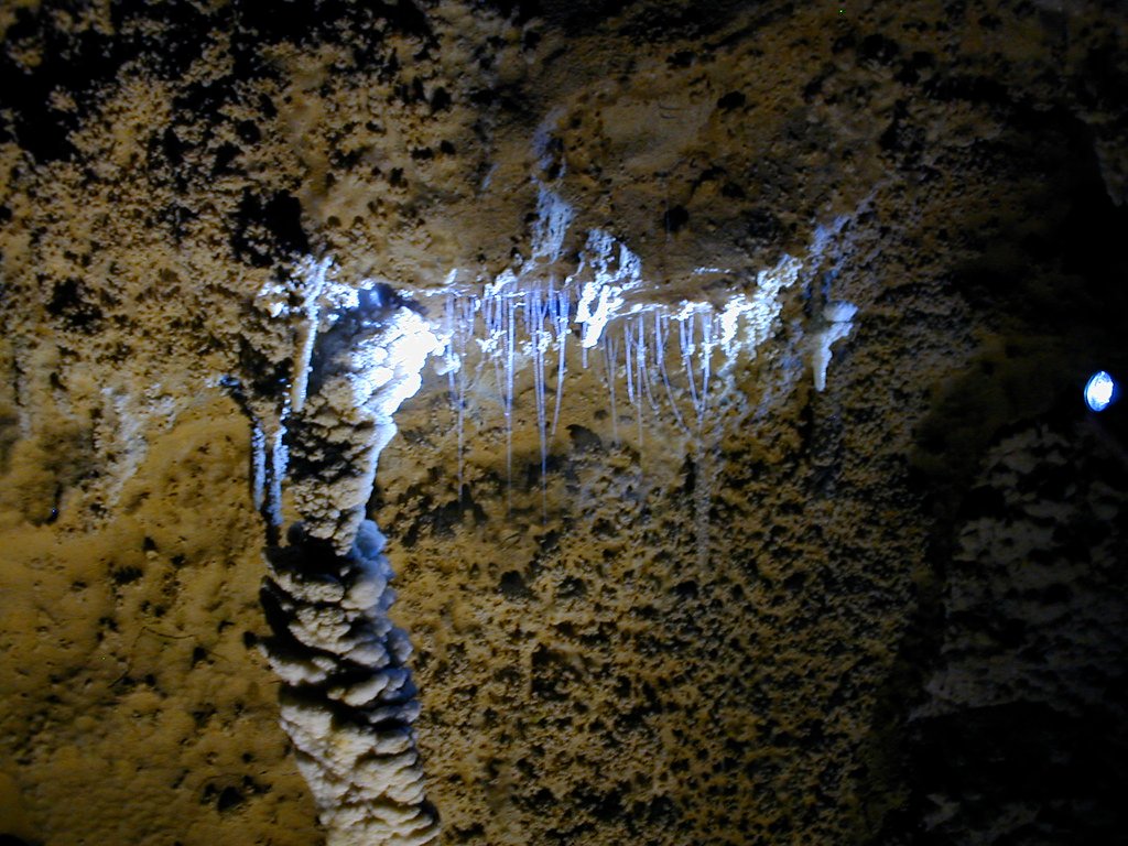 Waitomo caves