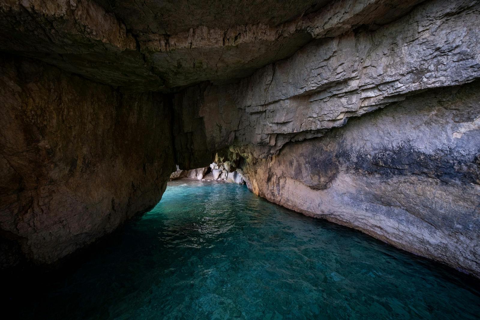 Was the First Life Underground? The Theory That Life Didn’t Start in the Sea, but in Rock