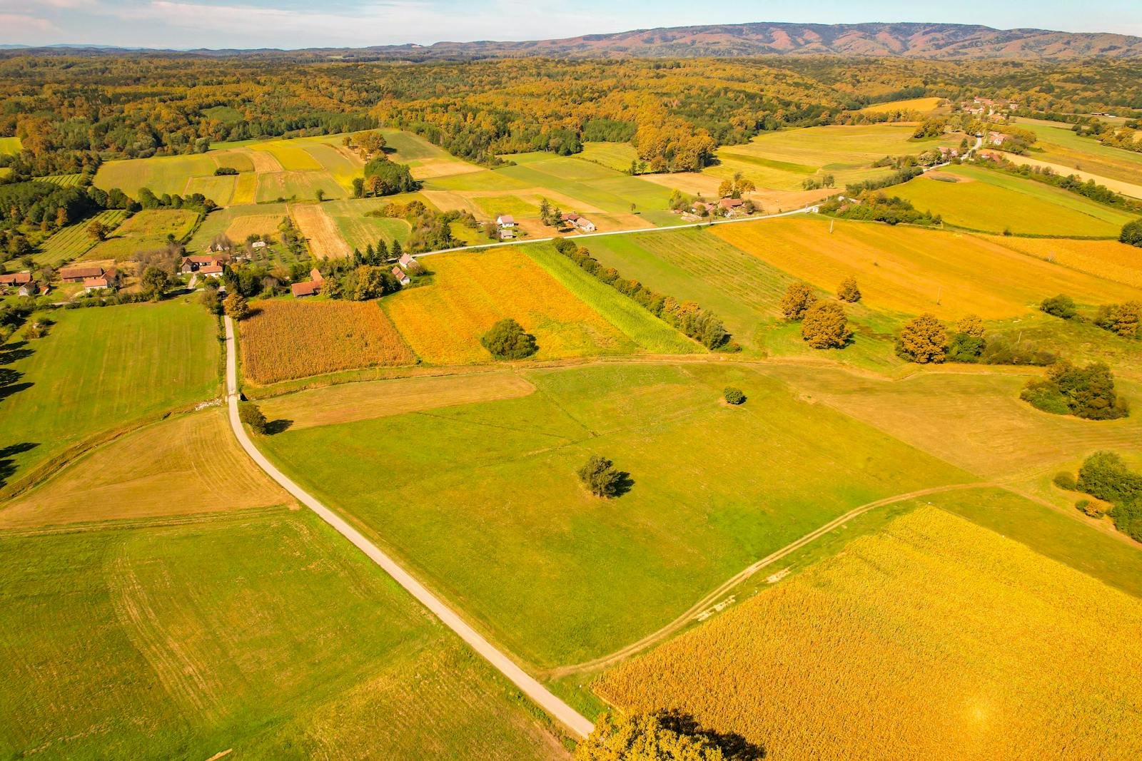 Shrinking Farms, Shifting Habitats: What California’s Agricultural Crisis Means for Wildlife