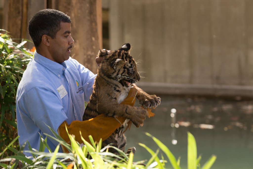Animal Behavior Research