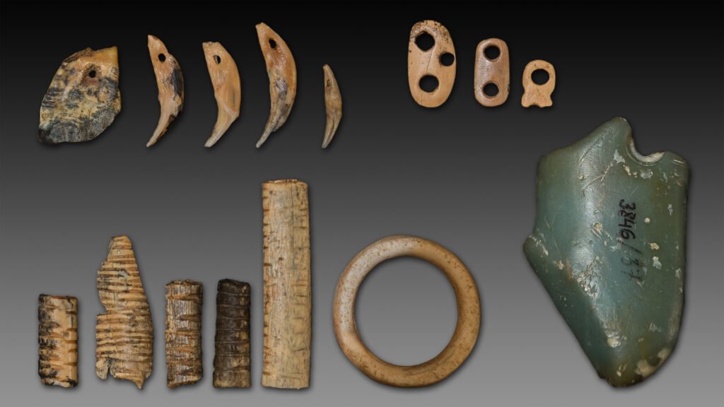 Denisova Cave pendants notched bones.