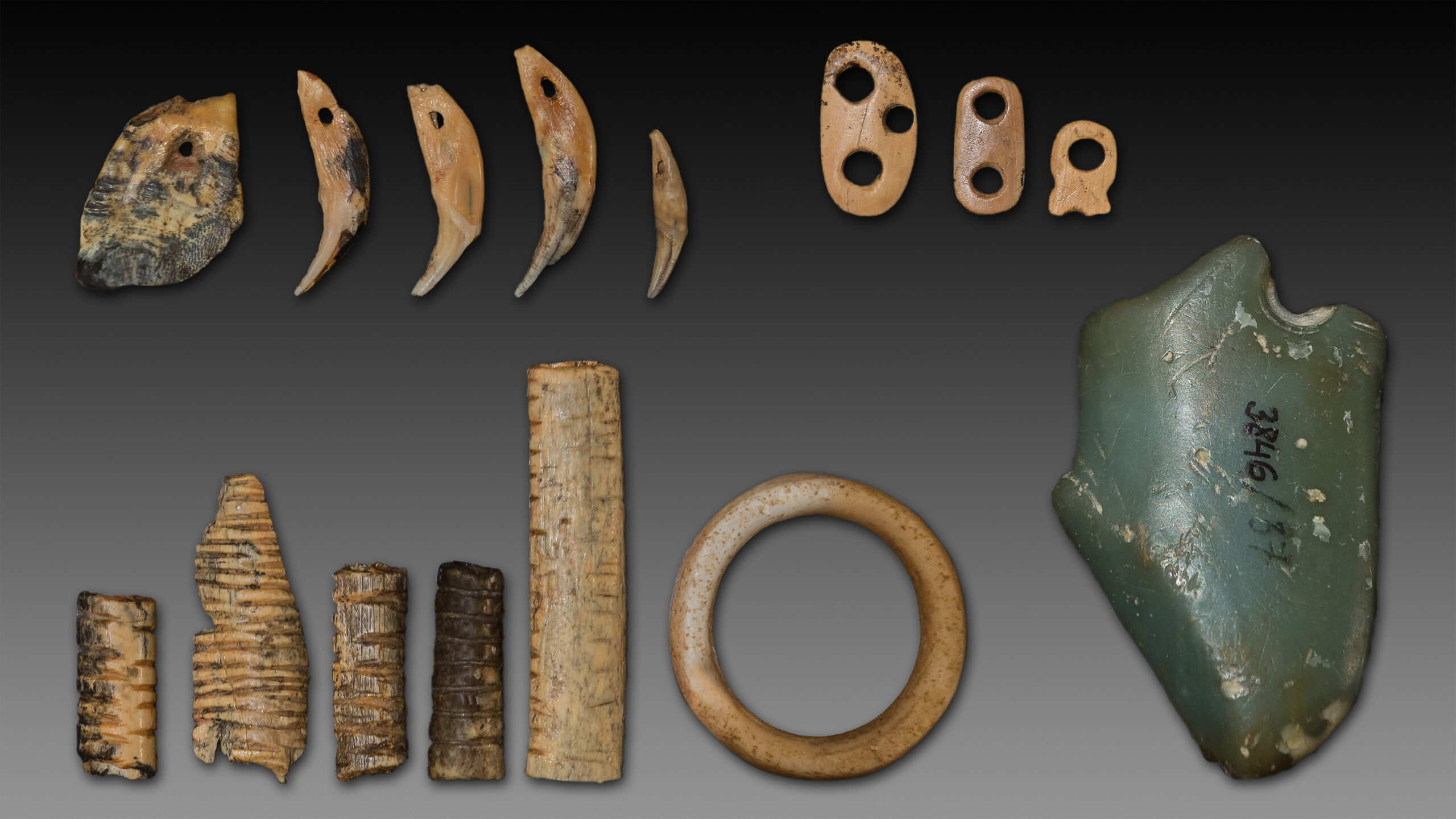 The Forgotten Ancestors: Denisovans and the Hidden Branch of Our Family Tree