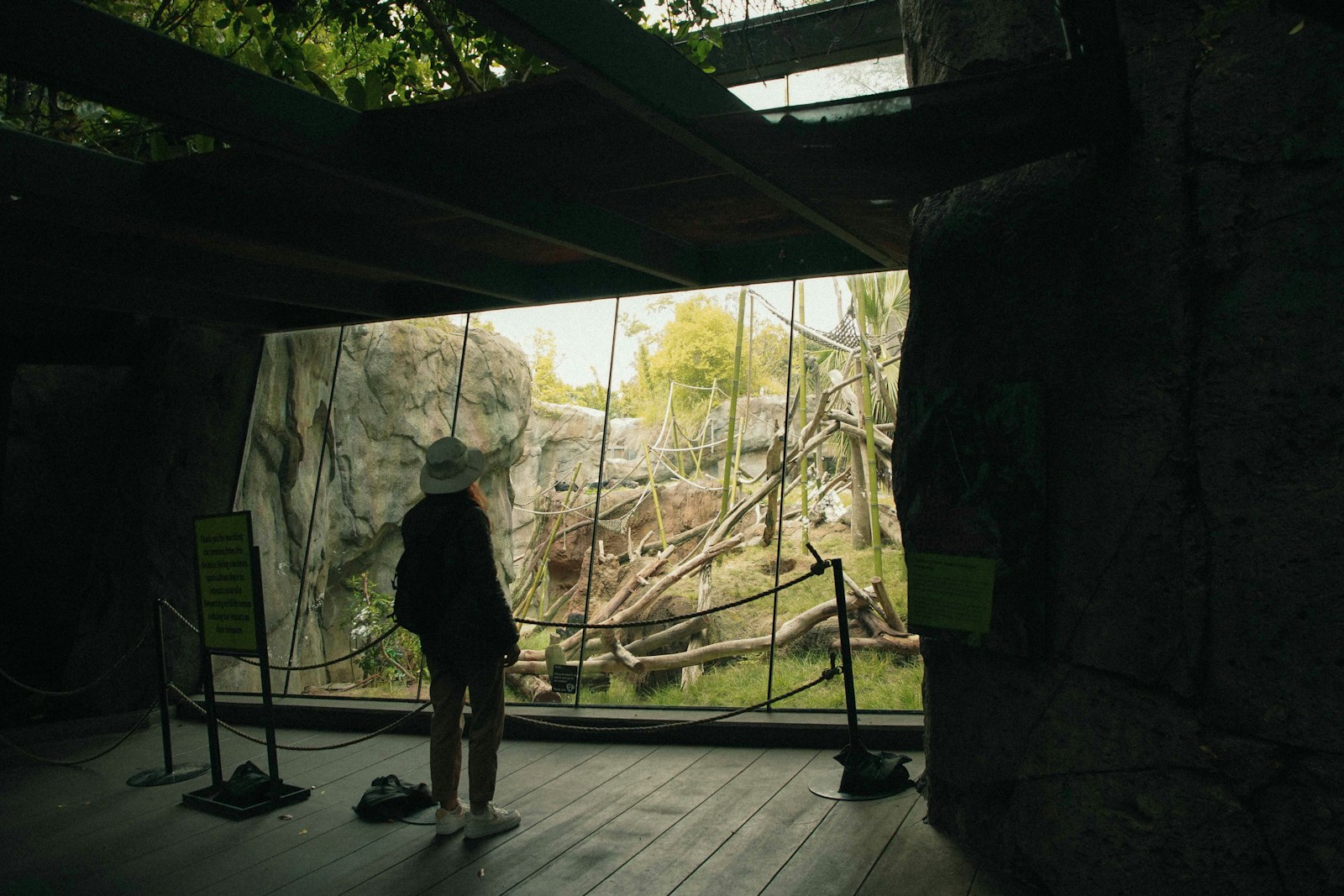 7 Zoos That Are Massive Enough to Feel Like National Parks