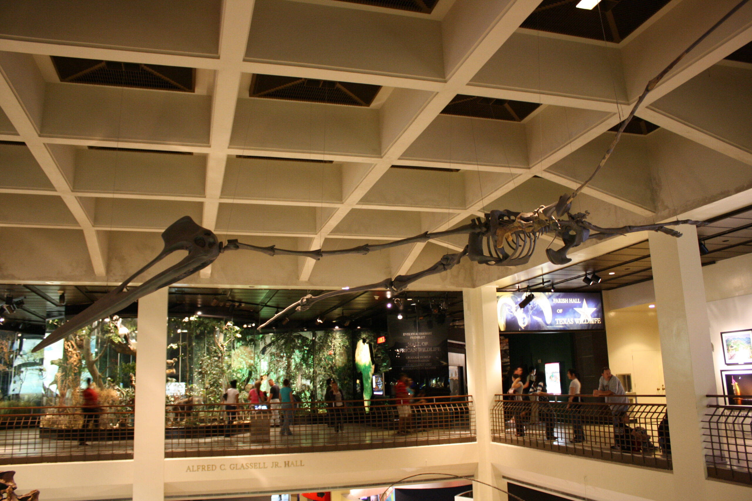 Quetzalcoatlus: The Airborne Giant With a Wingspan Like a Plane