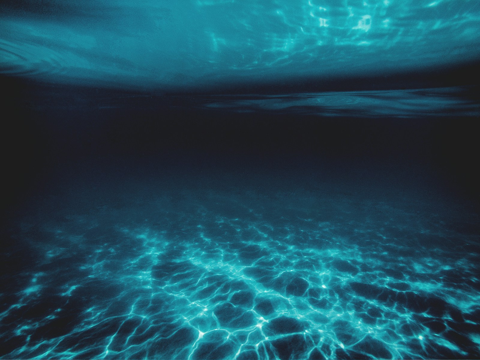 The Ocean’s Carbon Couriers: How Lanternfish Move Nutrients Across Depths