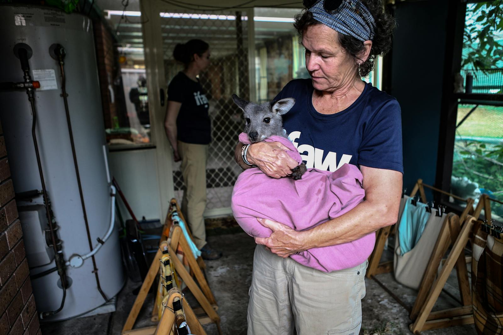 7 Zoos That Double as Wildlife Rescue and Rehab Centers