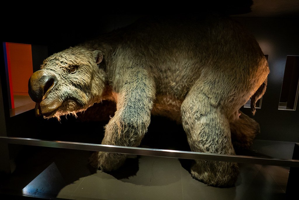 Diprotodon