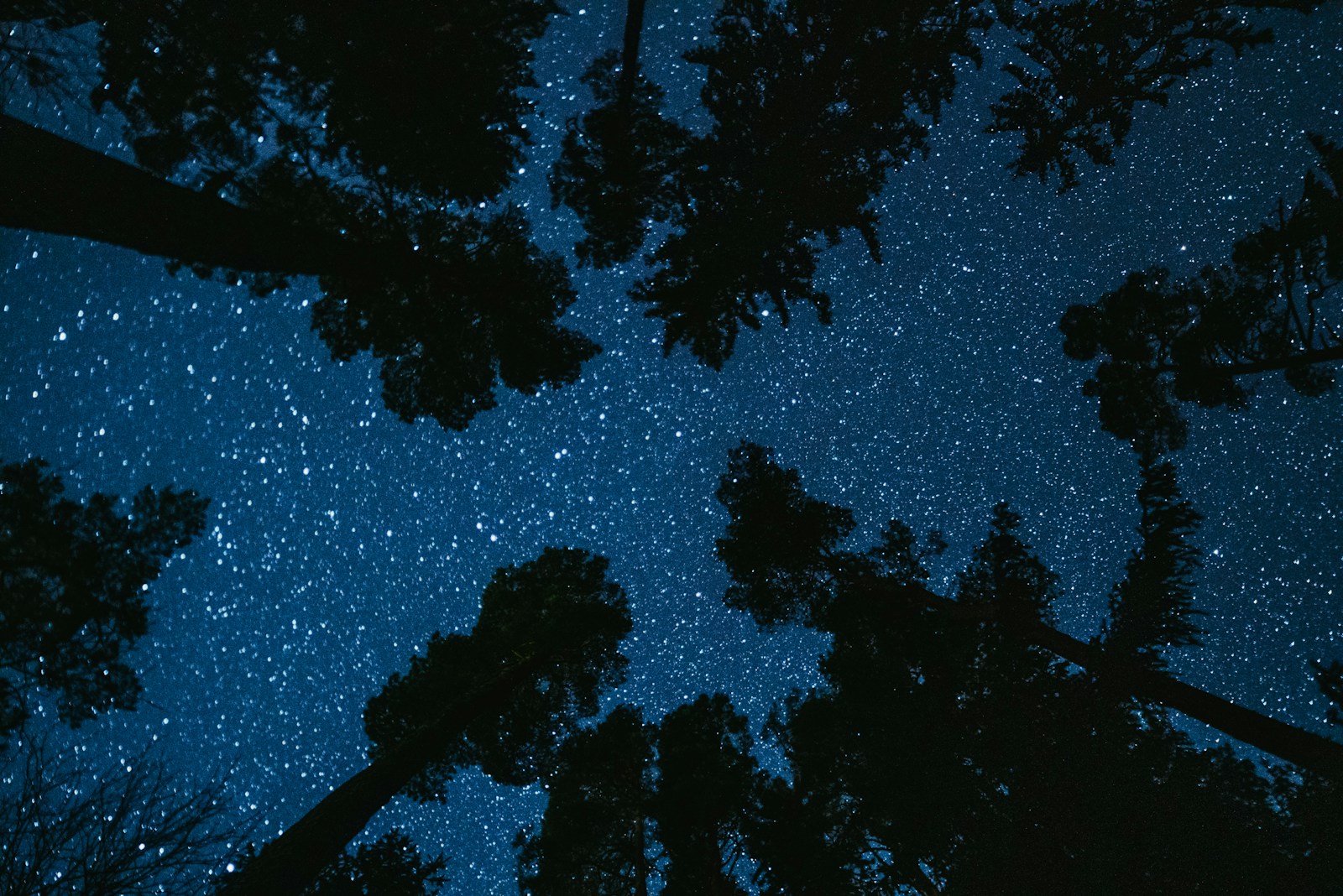 The Starlink Debate: Saving the Internet or Disrupting the Night Sky?
