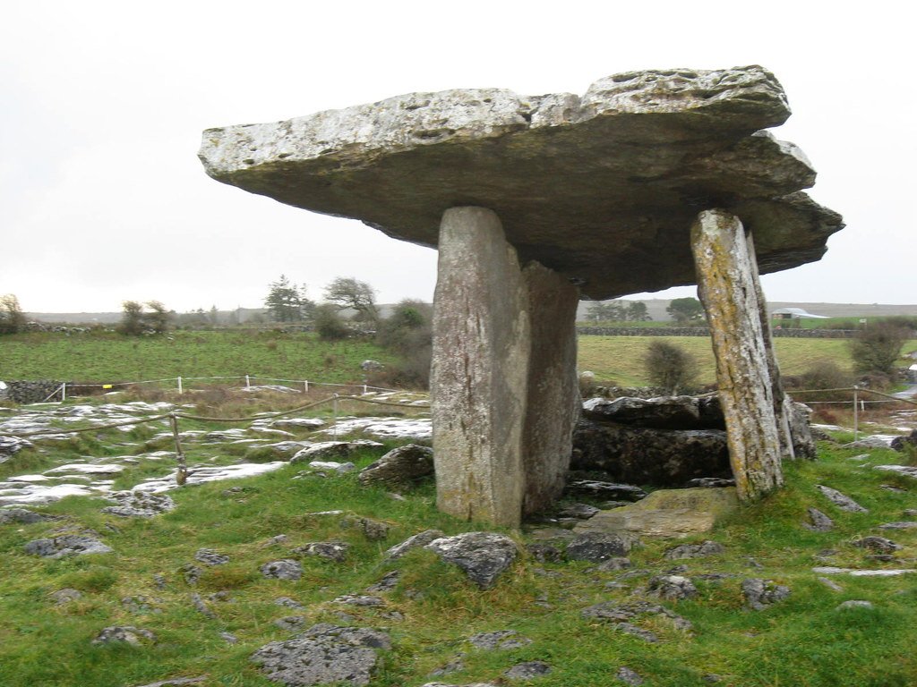 Ireland fossils