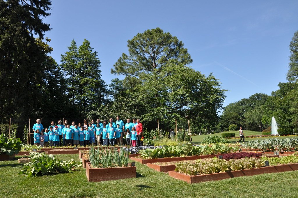 Three Sisters Planting