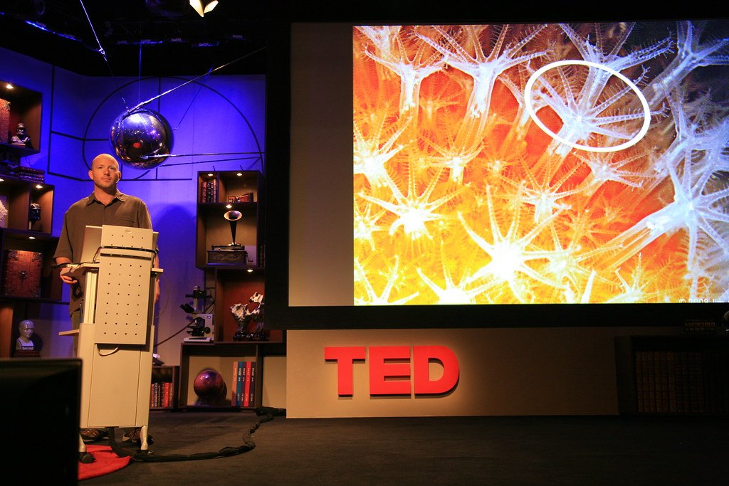 The Race to Build a Quantum Internet and Why It Matters
