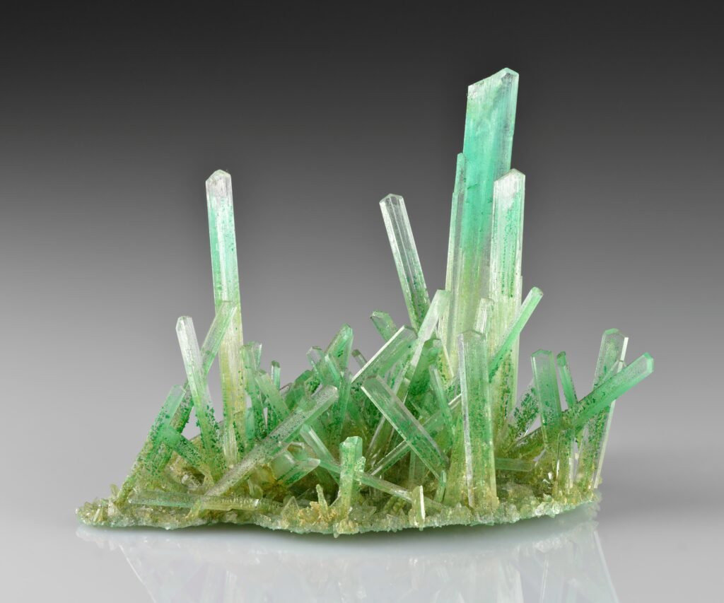 Gypsum crystals.