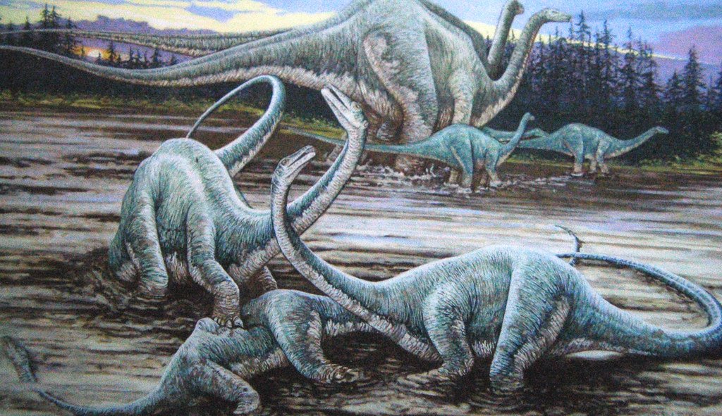 Diplodocus sauropod dinosaurs (Morrison Formation, Upper Jurassic; Mother's Day Site, Carbon County, southern Montana, USA). 