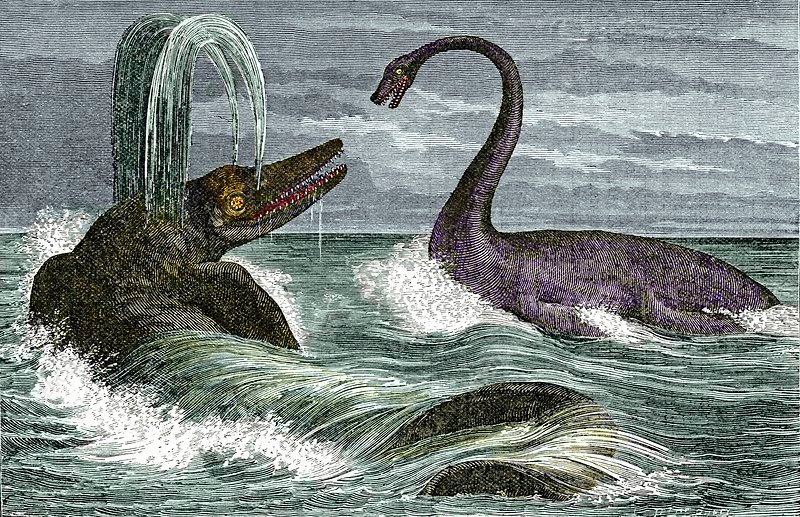 Ichthyosaurus (left) and Plesiosaurus (right) reptiles
