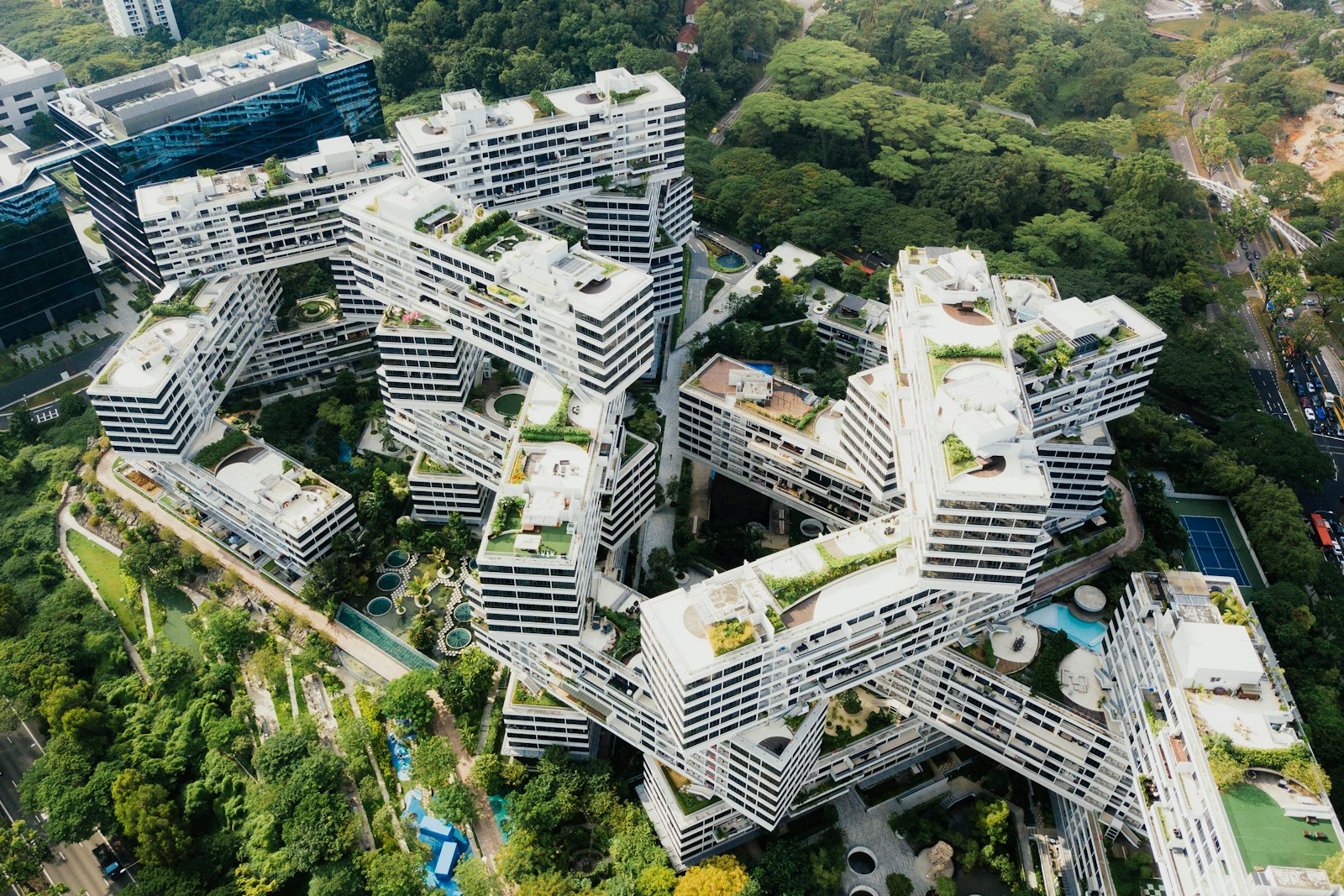 Rooftop Rainforests: How Singapore’s Gardens Are Growing Local Again