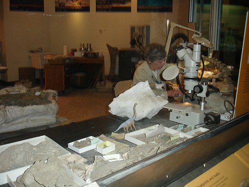 Paleontologist