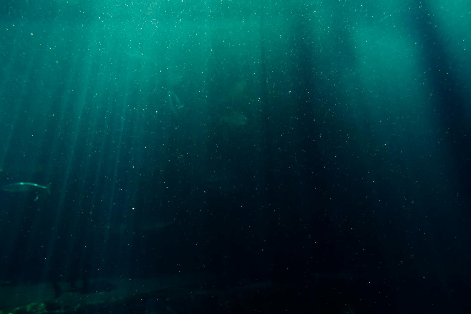 Life Without Light: How Earth’s Dark Places Are Rewriting Astrobiology Textbooks