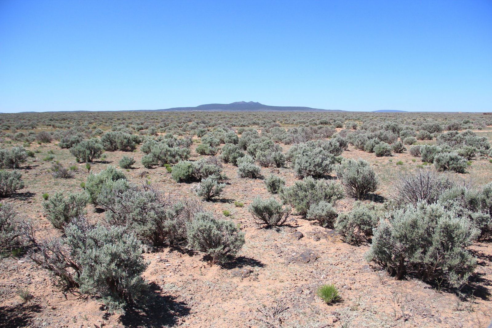 Mexico’s Fossil Deserts: Ancient Sea Creatures Hidden in the Mountains