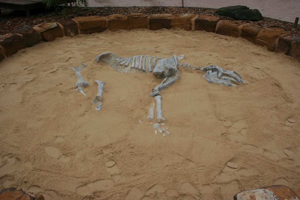 Diprotodon