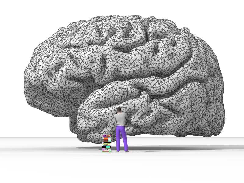 rendering of the human brain