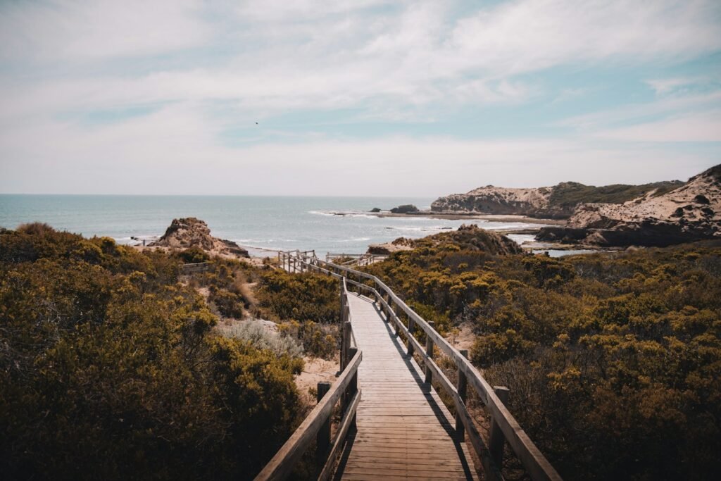Brown wooden bridge on sea during daytime