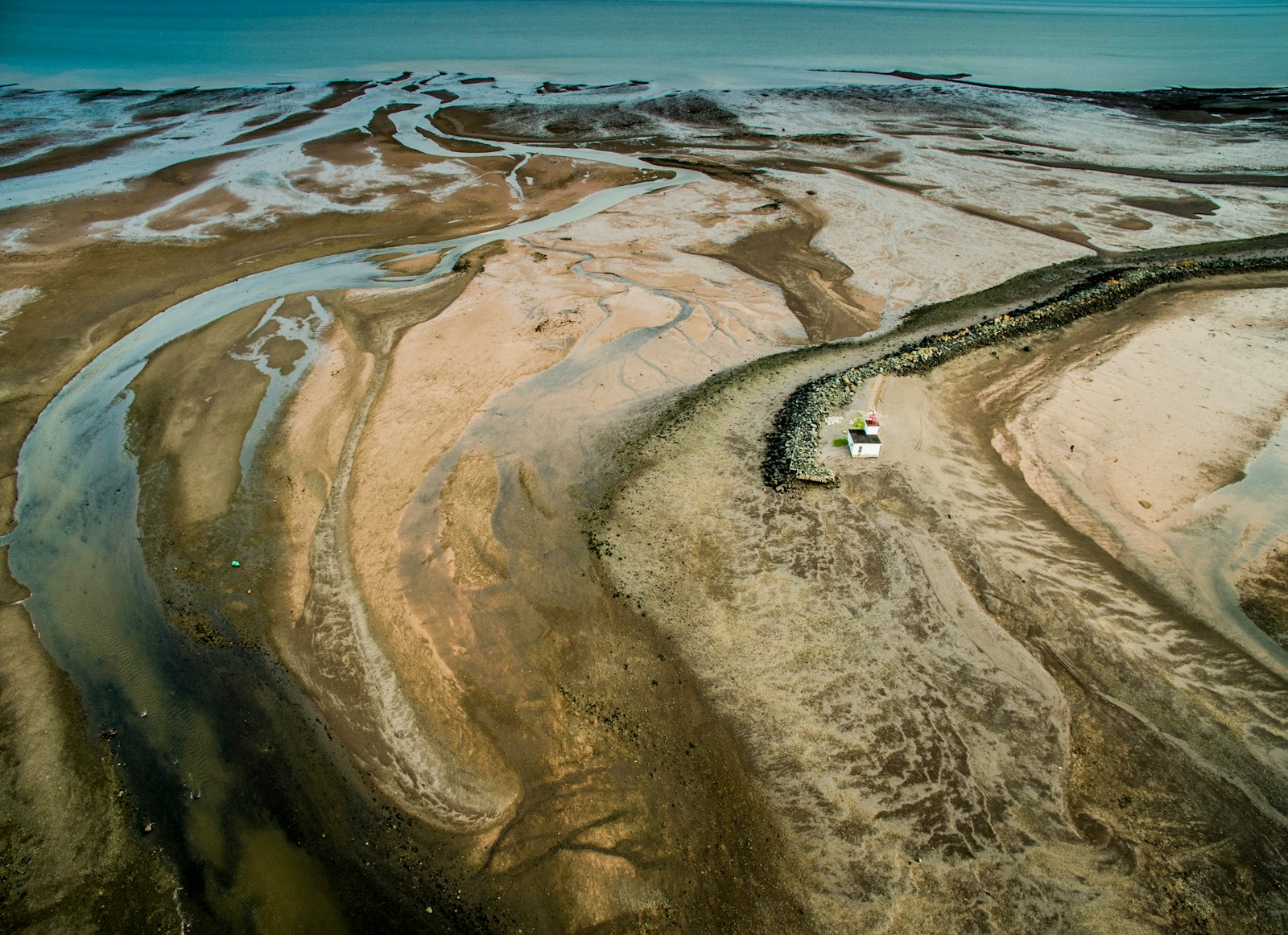 A Dive Into the Mississippi River Delta: A Crucial Habitat for Migratory Birds and Marine Life
