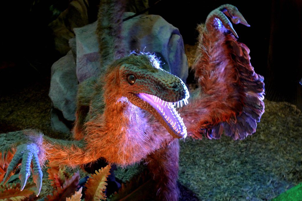Dinosaur with feathers