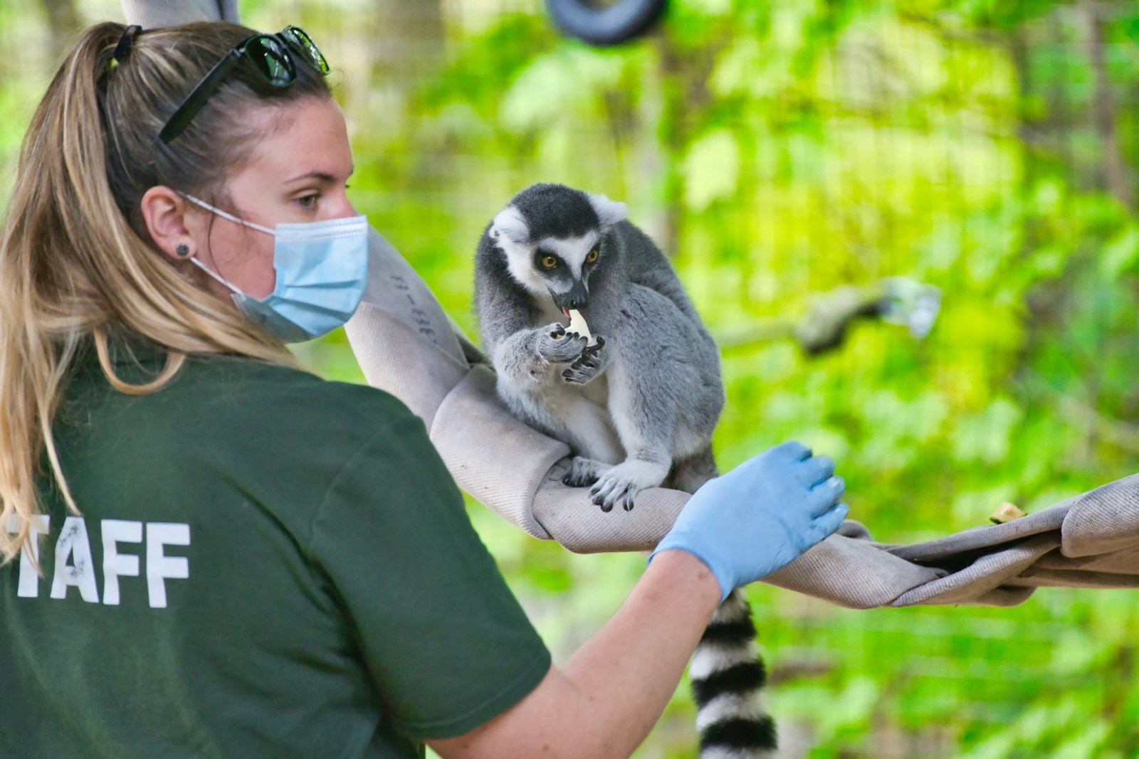 How Keeper-Only Animals Form Bonds With Their Caretakers