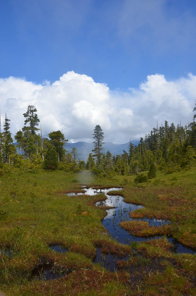 Tongass National Forest