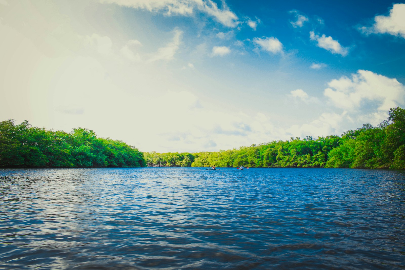 Why Some Countries Are Declaring Rivers, Forests, and Mountains as ‘Legal Persons’