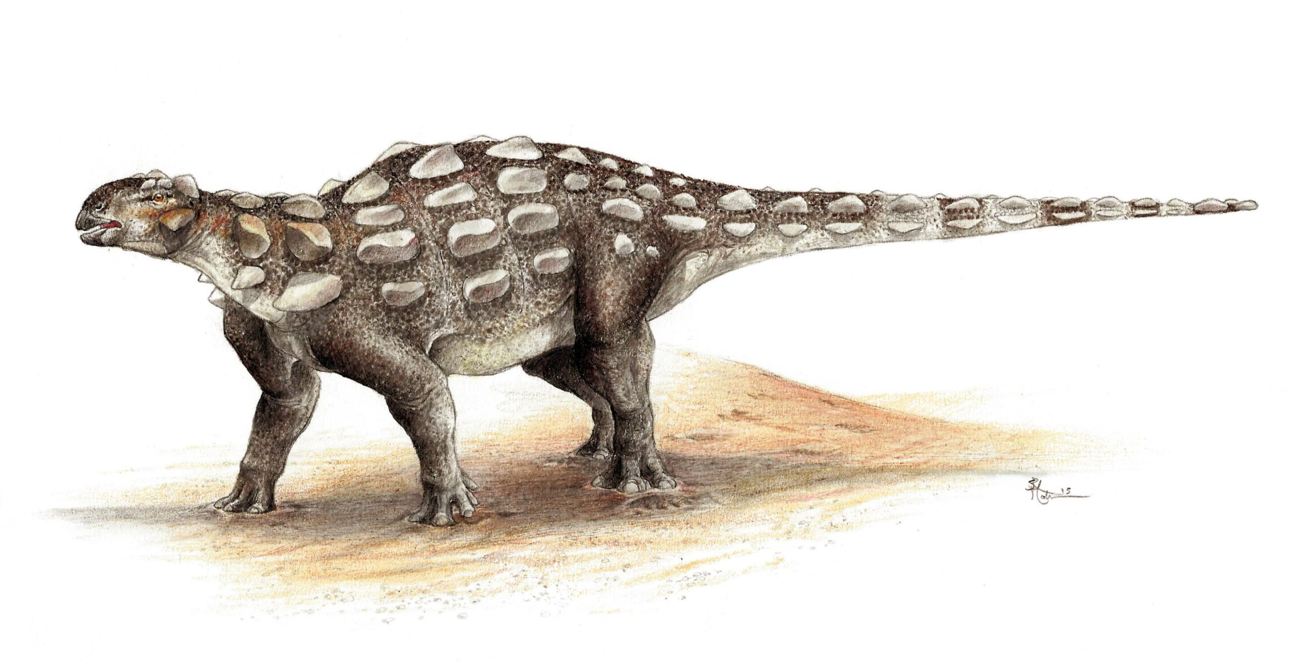 Tracks Through Time: 100-Million-Year-Old Footprints Reveal New Armored Dinosaur in British Columbia