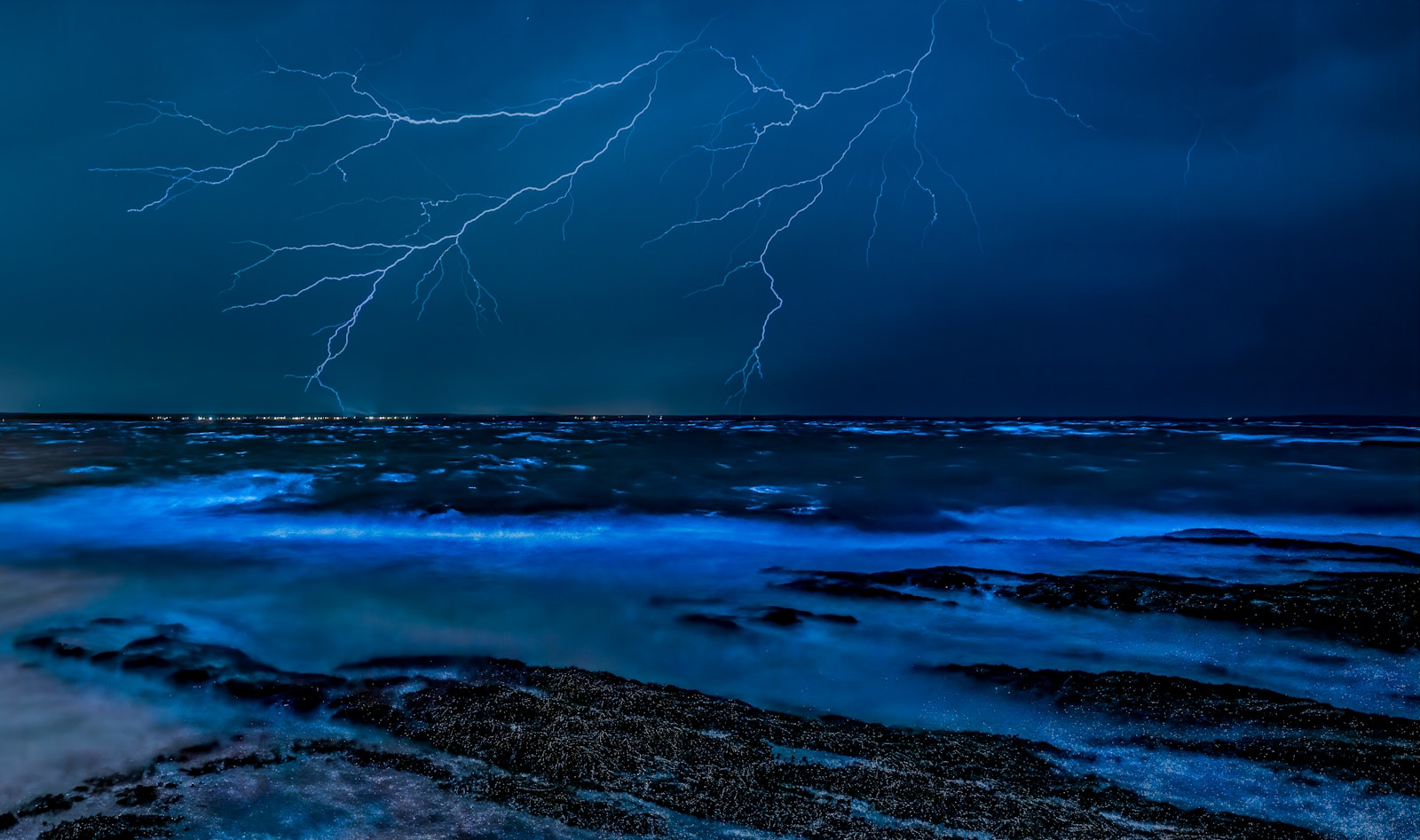 Bioluminescent Bays: The Science Behind Glowing Waters