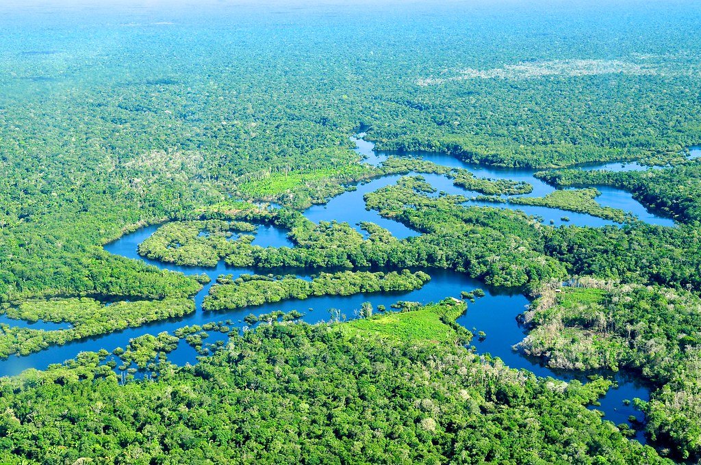 Amazon deforestation