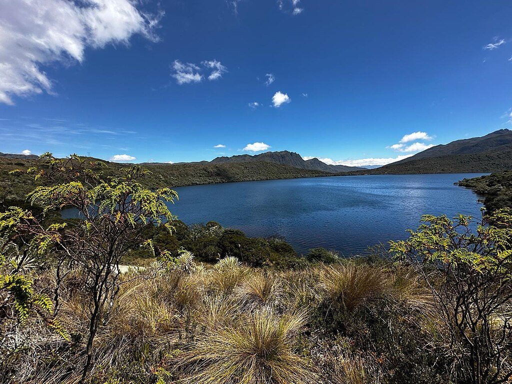 Biodiversidad Embalse San Rafael