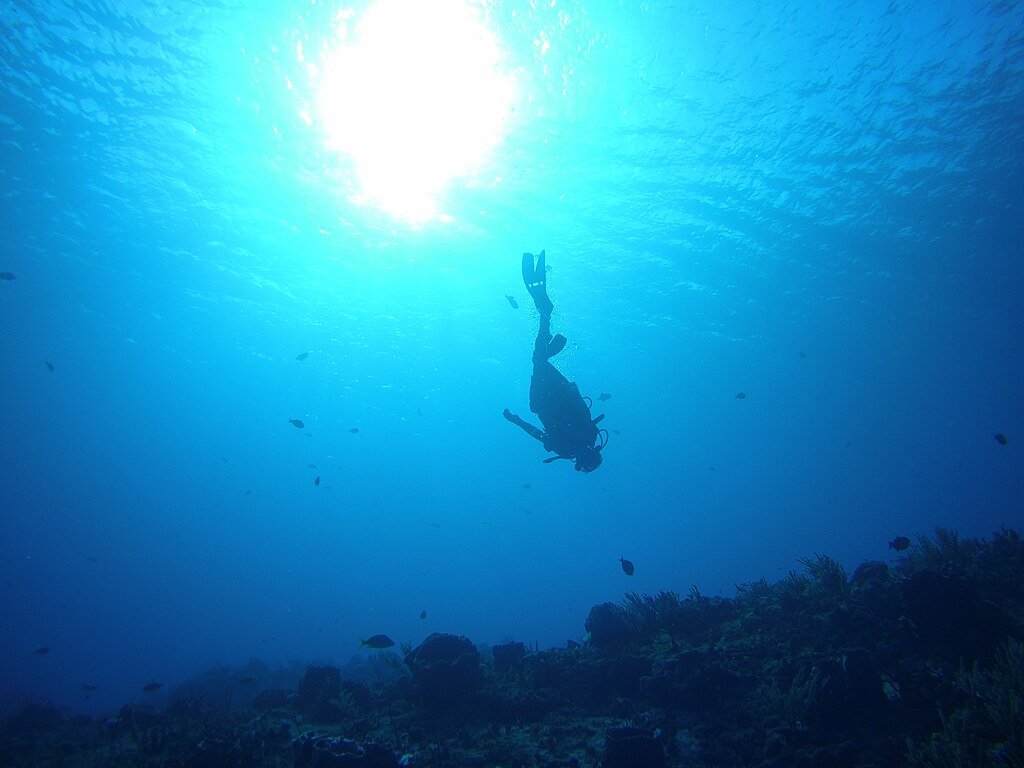 unknown diver at the Palancar Gardens dive site in Cozumel, Mexico