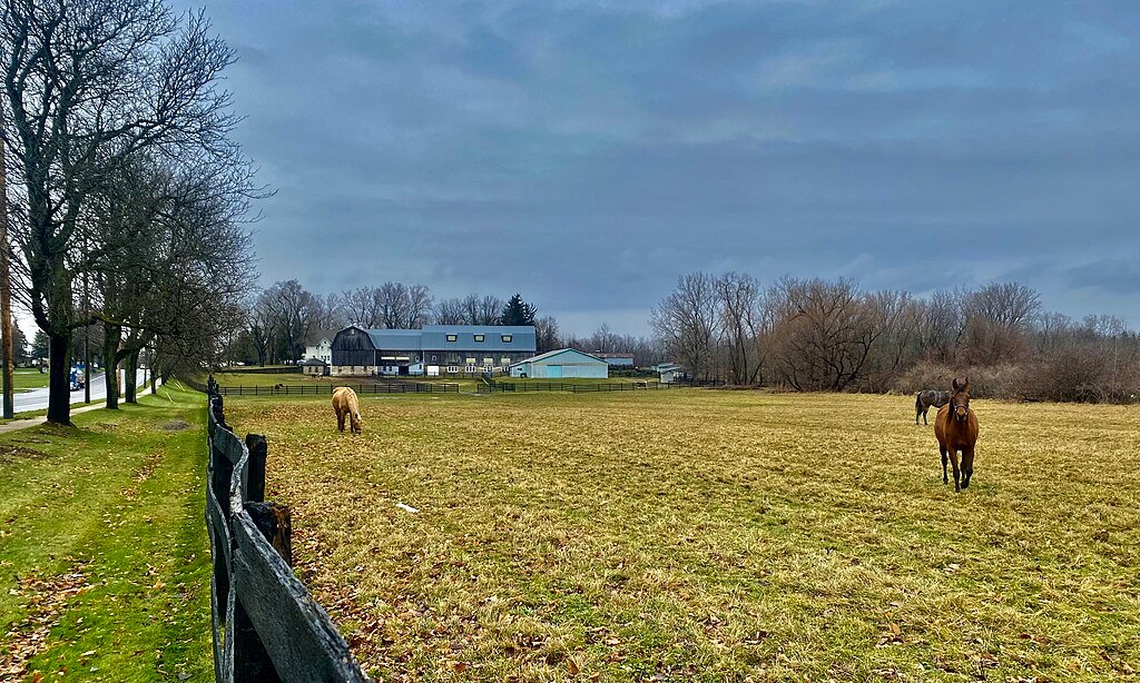 Equine scene, Hy Wynne Farm, Akron, New York