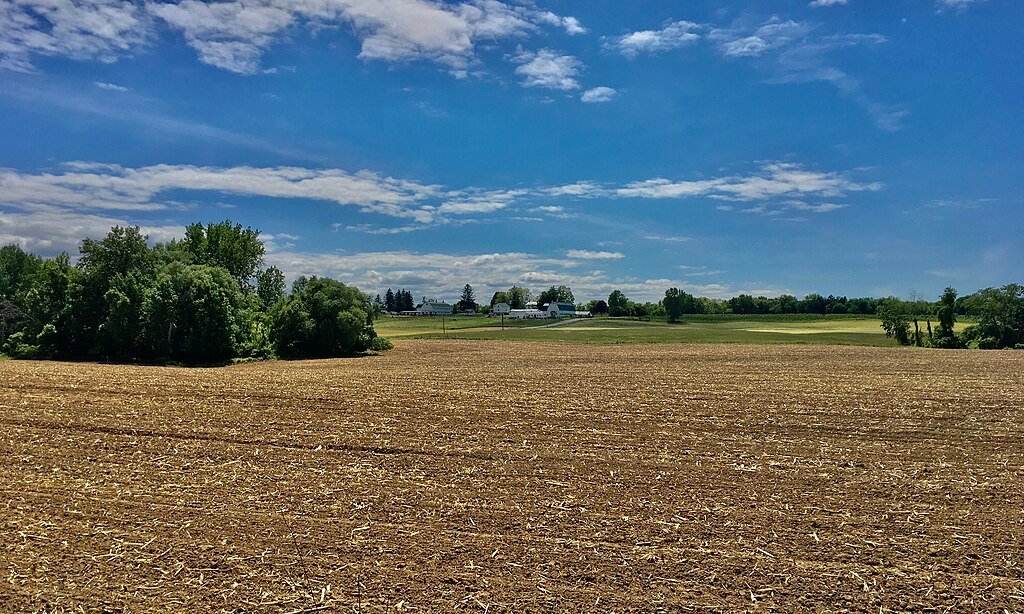 Farm on Thornton Point Road, Sodus, New York