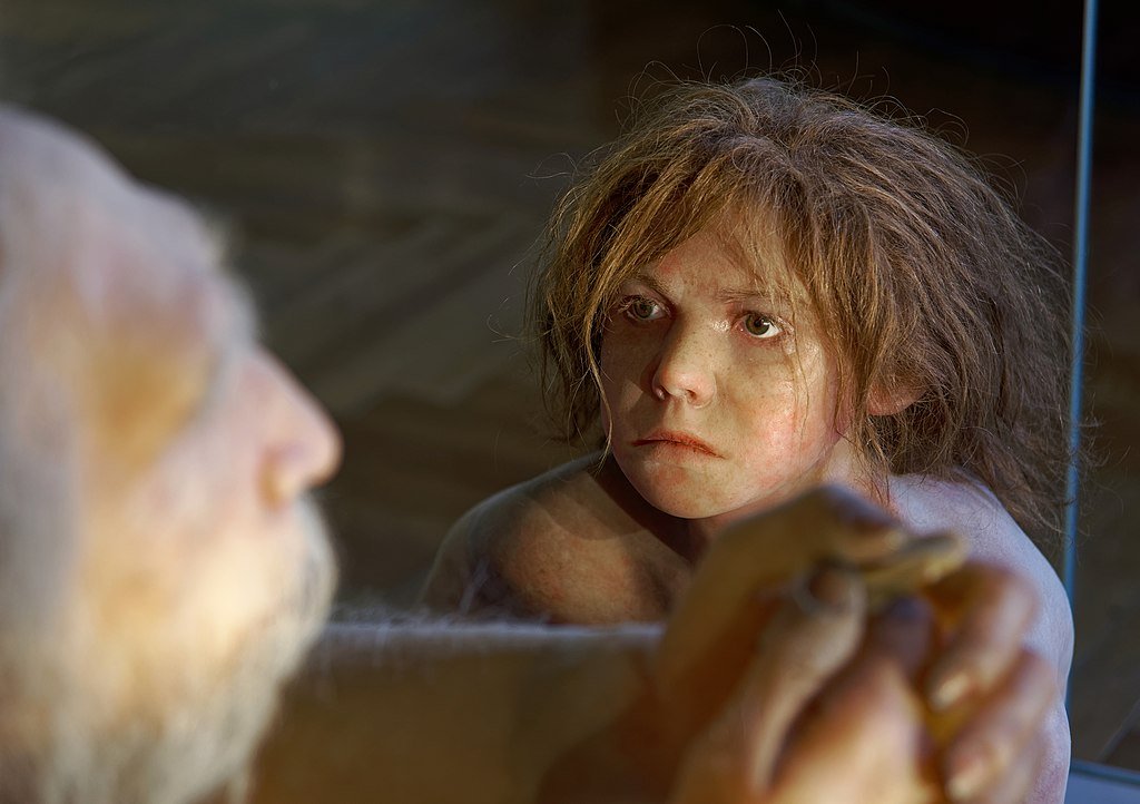 Model of Homo neanderthalensis child in The Natural History Museum, Vienna