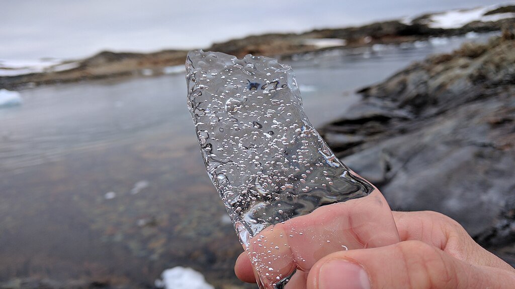 A piece of sea ice on Winter Island.